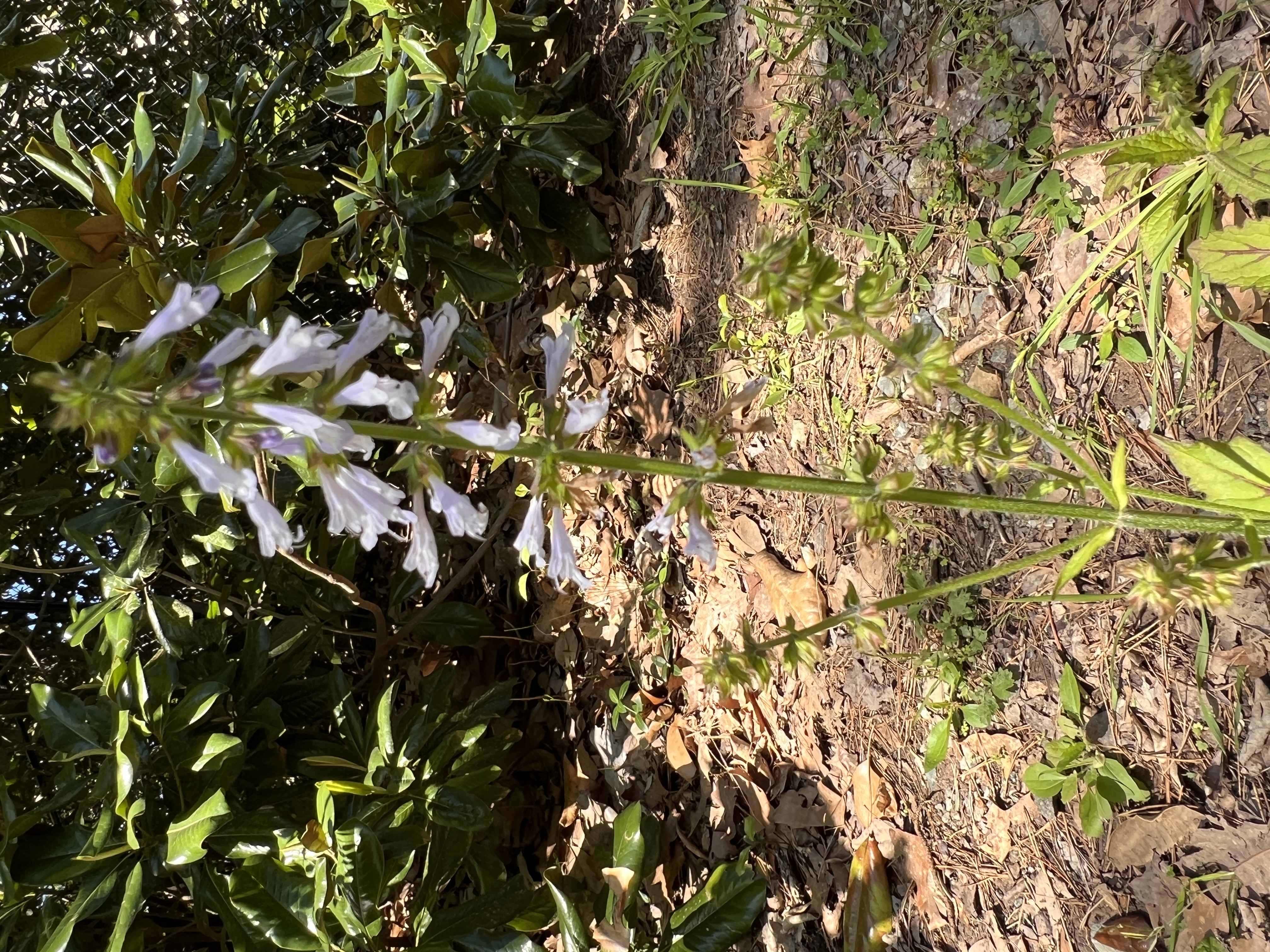 ./2023/05 - Toni Adventures/IMG_3177.JPG